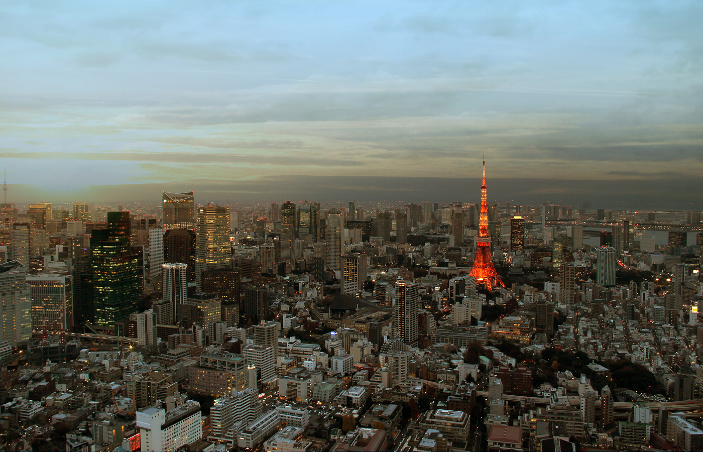 fotografie Photography  tokyo cityscape streetphotography Urban photojournalism  japan city