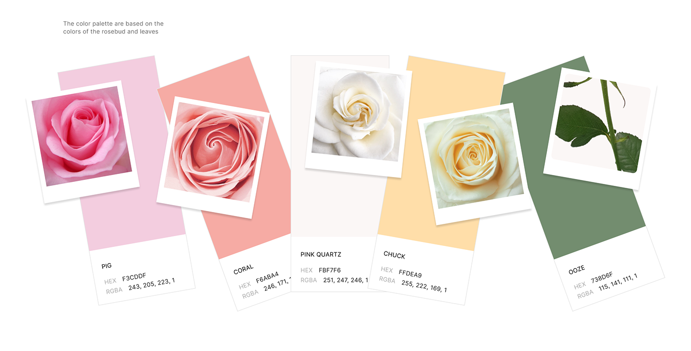 brand identity branding  design floral flower Flowers UI/UX Web Design  wordpress