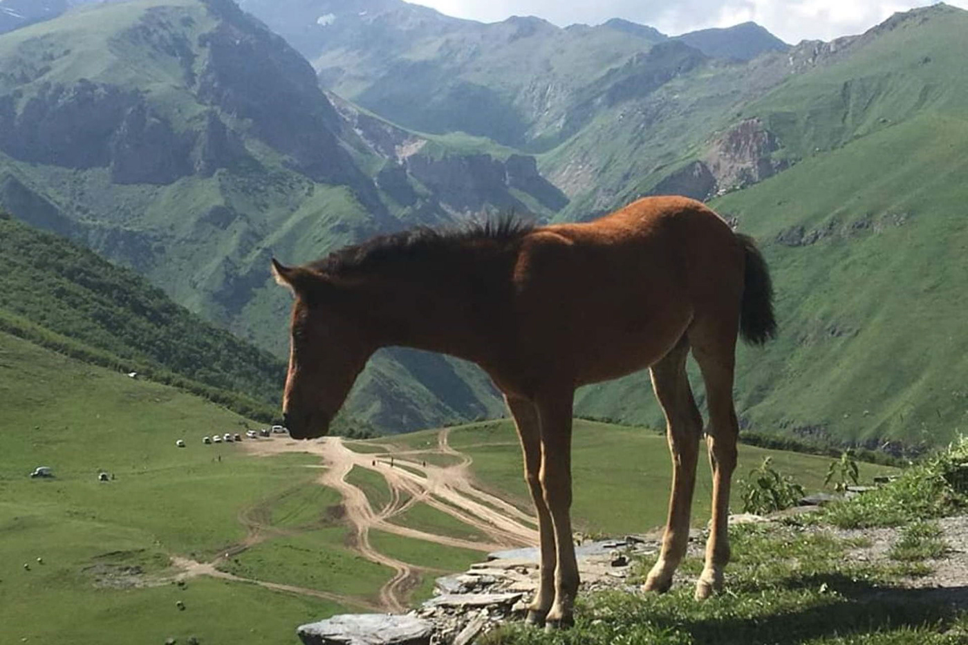 Pferdetrekking wanderung Naturerlebnis Abenteuer