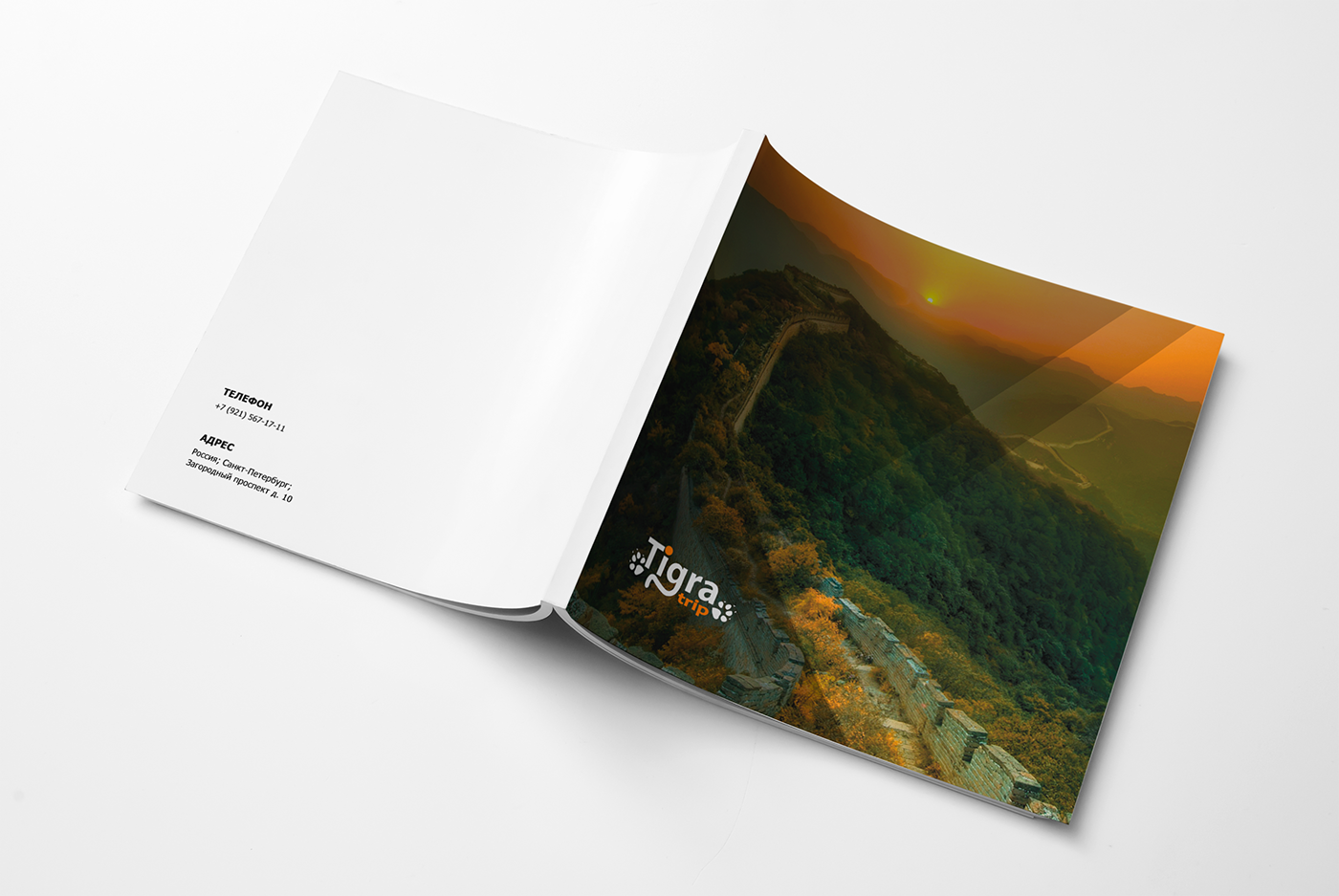 marketing   kit Travel Booklet brand book magazine презентация presentation Advertising 