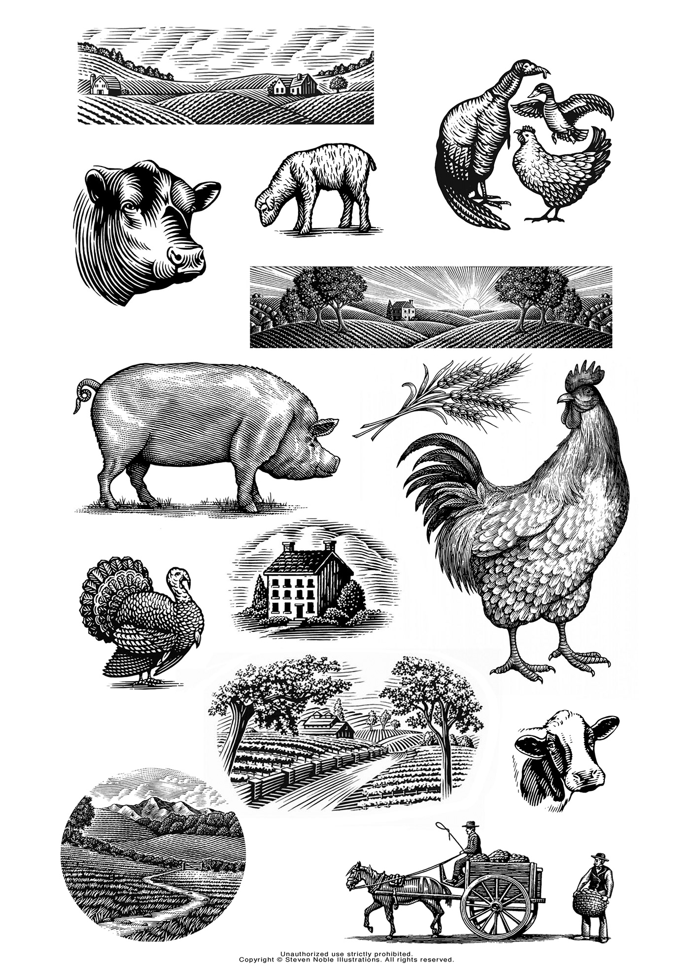 agriculture illustrations engraving etching farm animals farm illustrations farming illustrations scratchboard Steven Noble woodcut