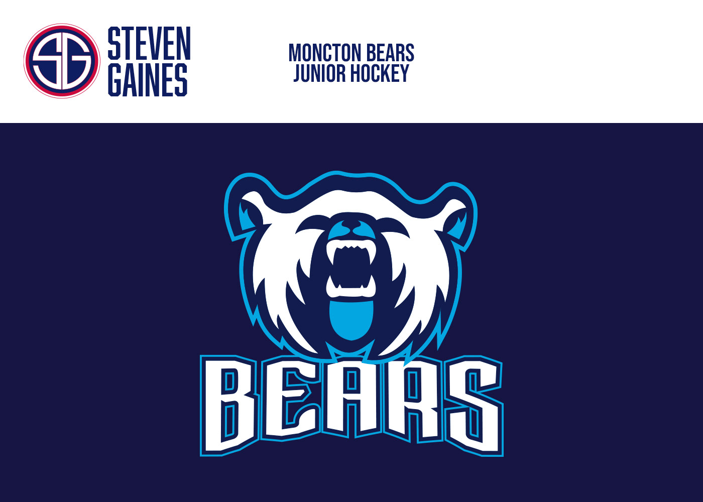branding  graphic design  hockey Sports Team