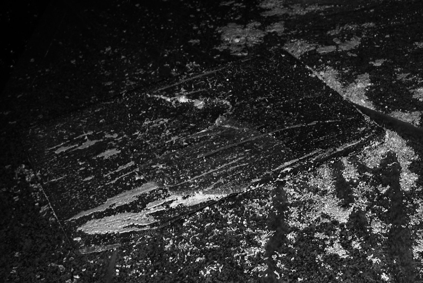abstract ART IN NATURE bianco e nero blackandwhite blanci y negro leonard rachita monochrome noir et blanc trace traces