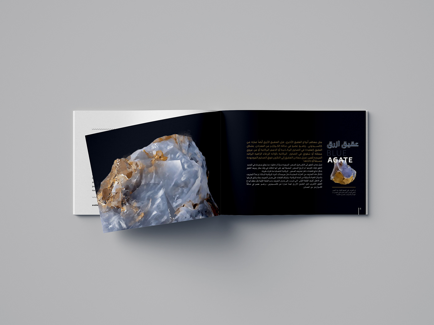 brand identity catalog catalog design design digital painting InDesign geology