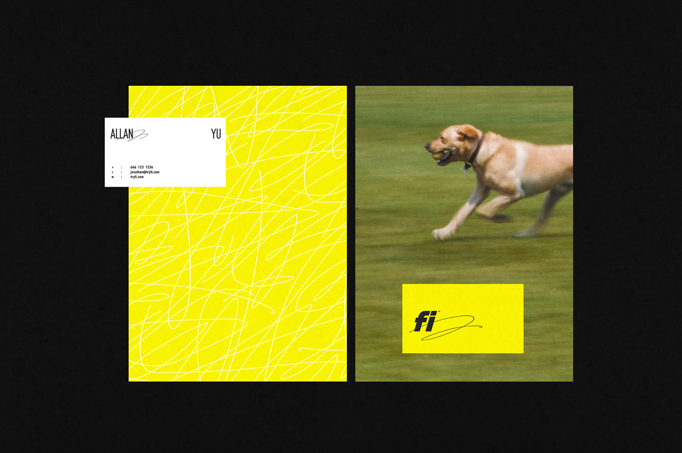 branding  Packaging visual identity athletic sport brand identity graphic design  poster dog logo