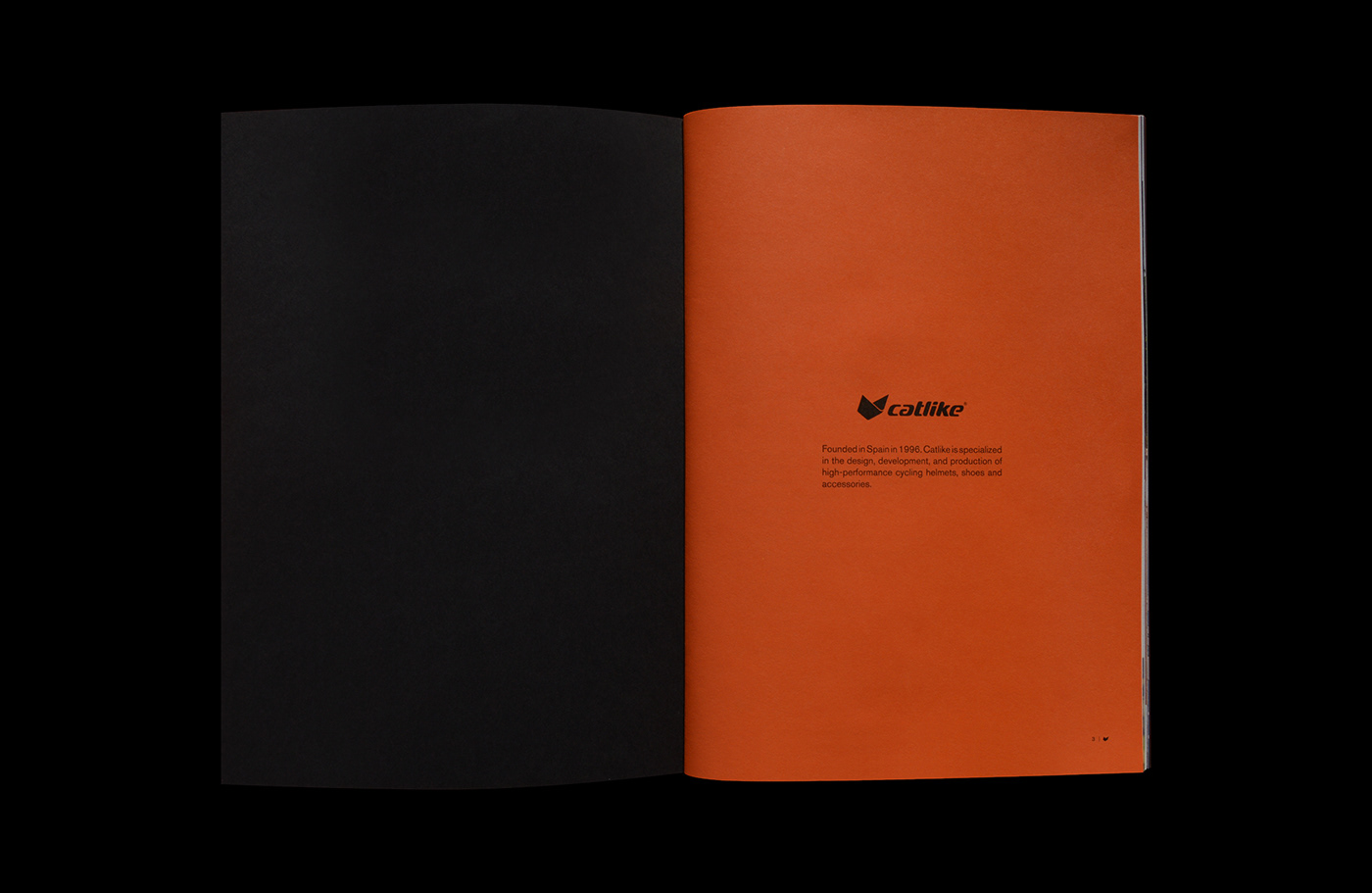 magazine print InDesign editorial design  Layout brochure