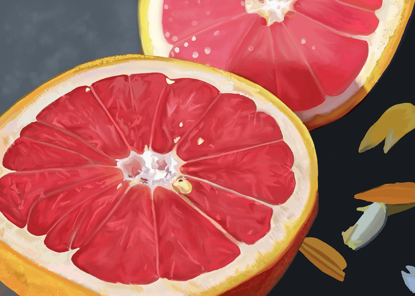 grapefruit painting   Fruit still life digital painting арт painter red
