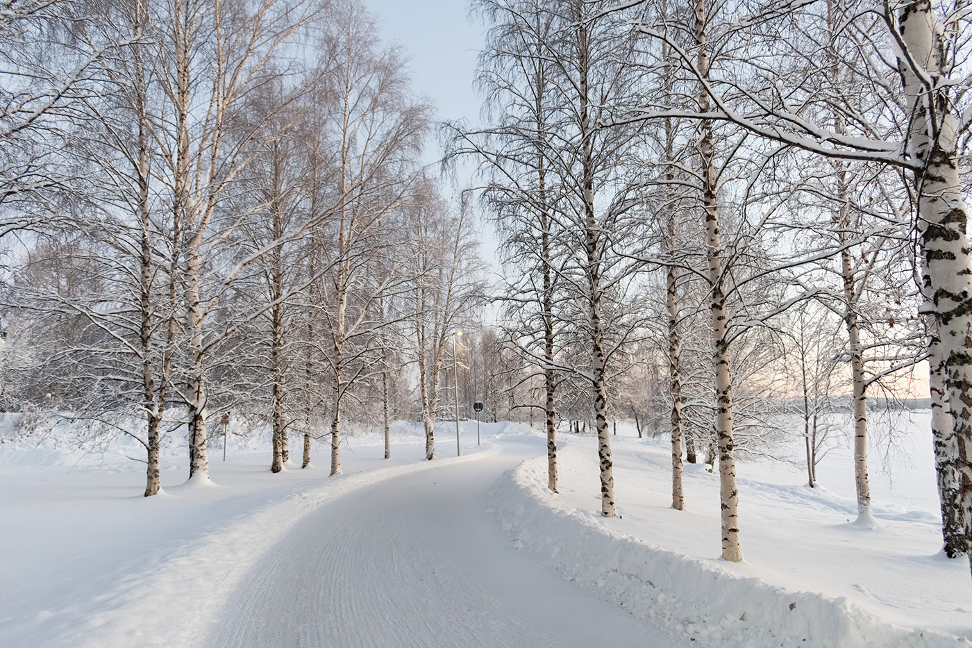 Atardecer finland Finlandia invierno nieve Photography  rovaniemi snow sunset winter