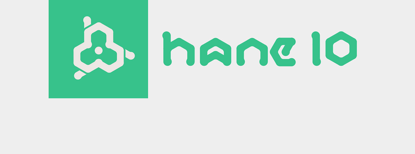 branding  HaneIO logodesign