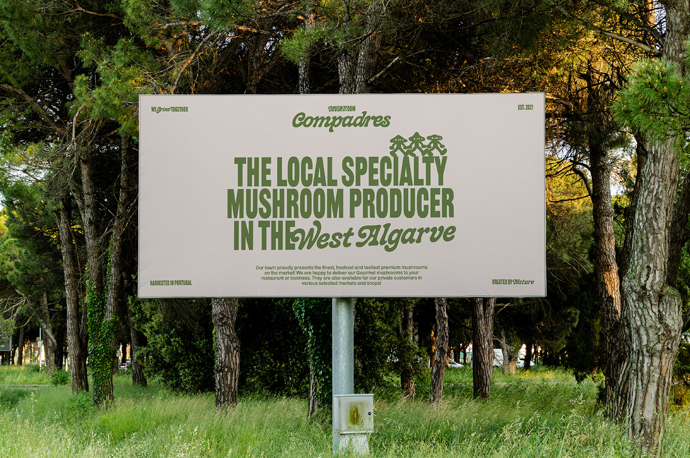 brand identity Branding design illustrations label design mushroom Poster Design typography   visual identity