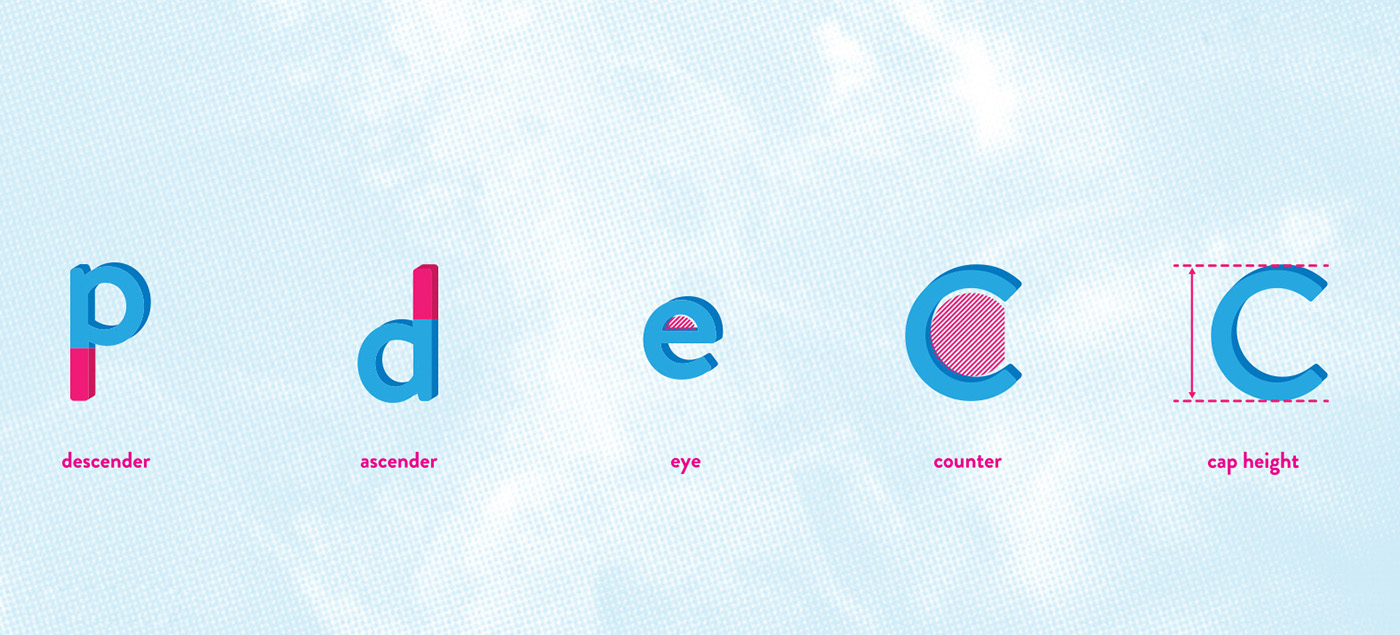 typography   graphic design  graphic design social media type type design Type Anatomy