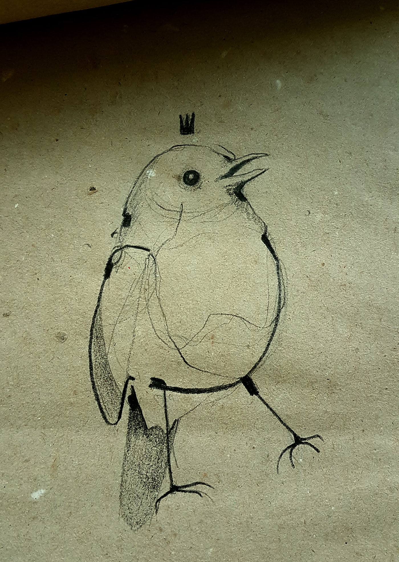 birds draw bird sketch