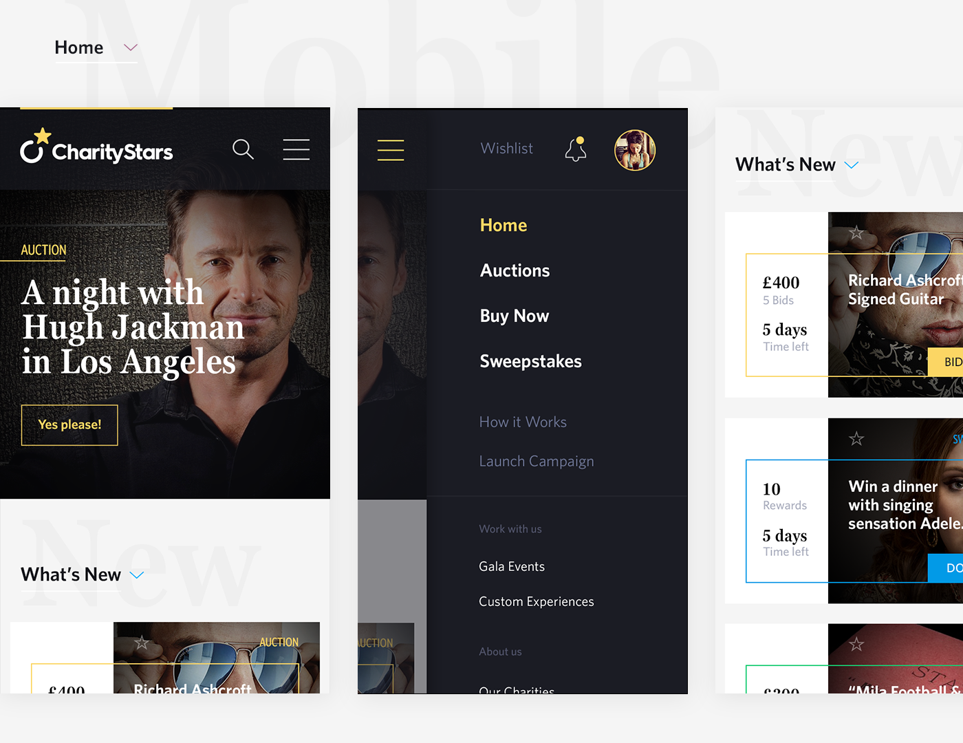 charity Website redesign brand stars refresh UI ux product Experience
