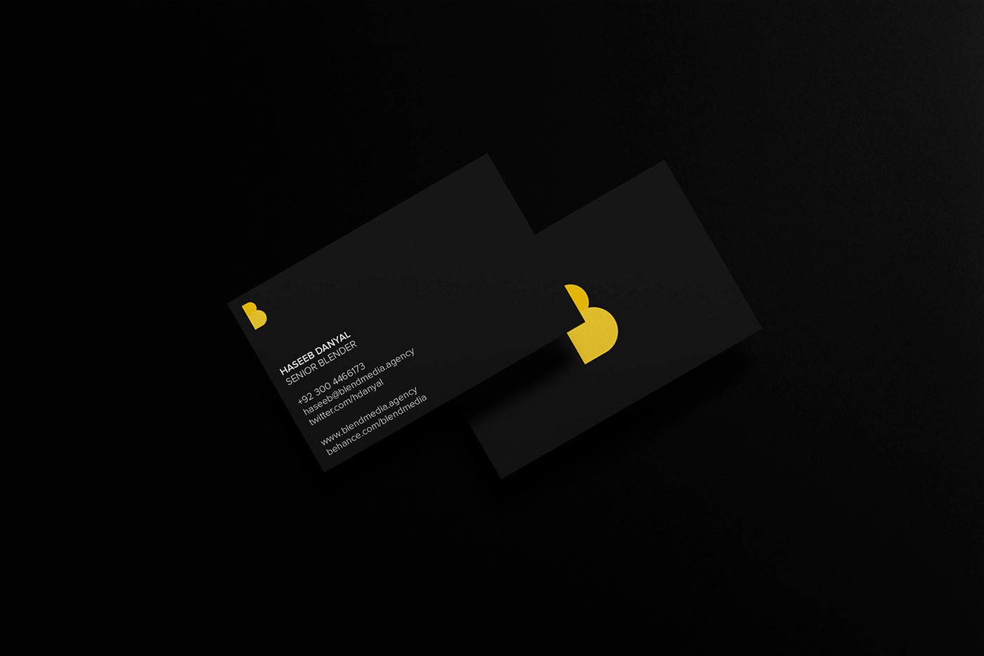 branding  marketing   agency identity adobeawards blend haseebdanyal