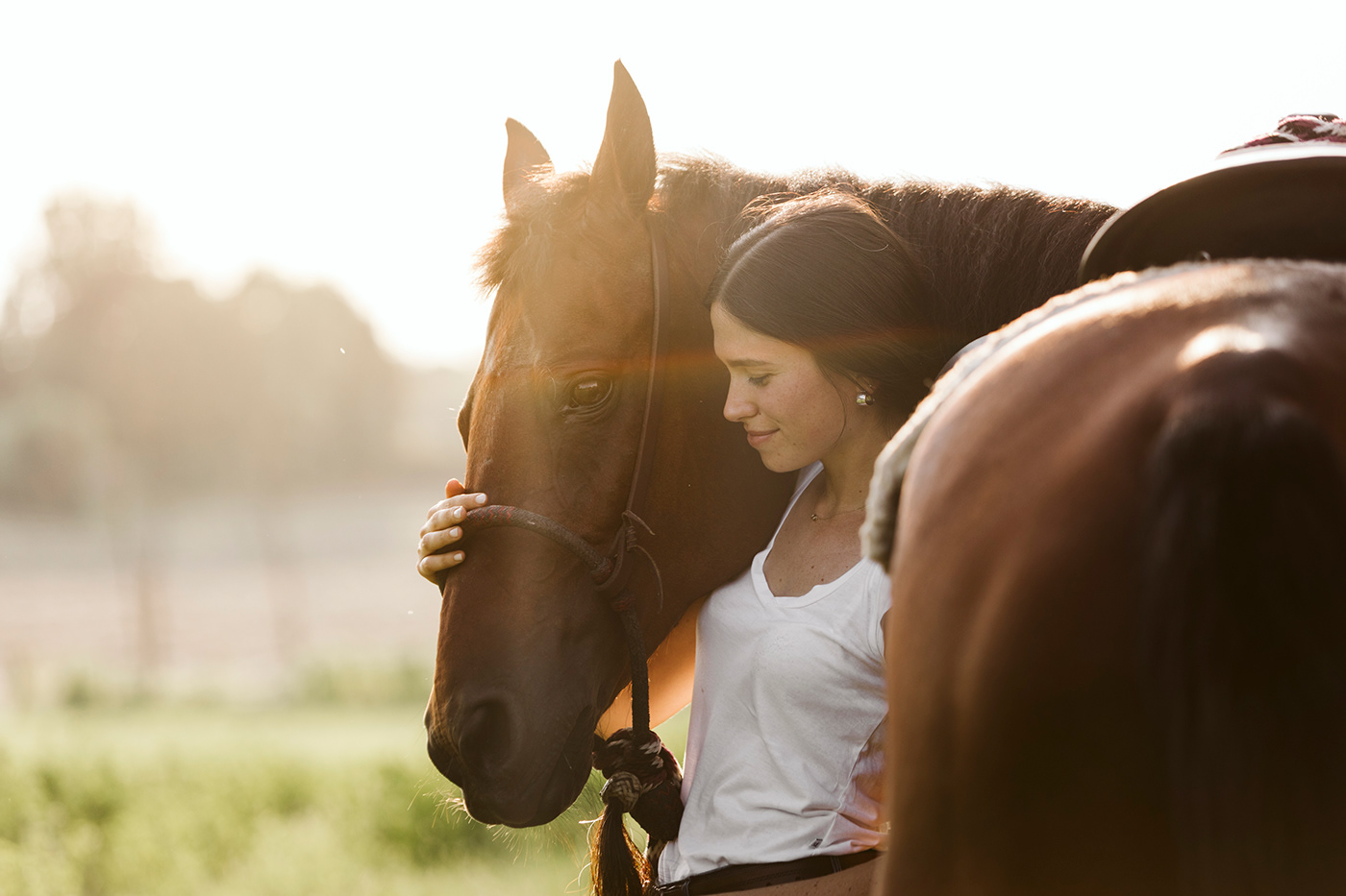 horse Horse Photography equestrian portrait Photography  beauty woman