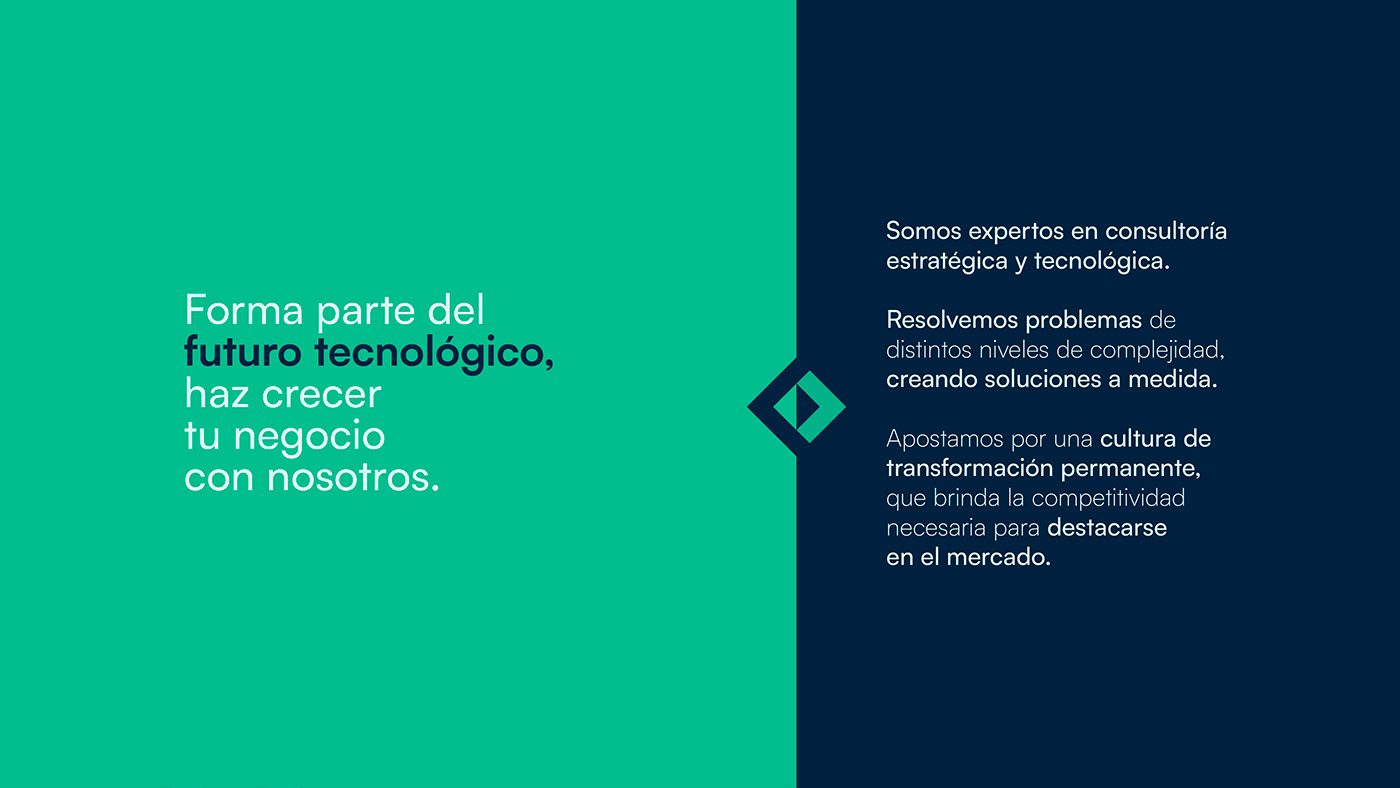 diseño gráfico argentina brand identity Graphic Designer Brand Design visual identity
