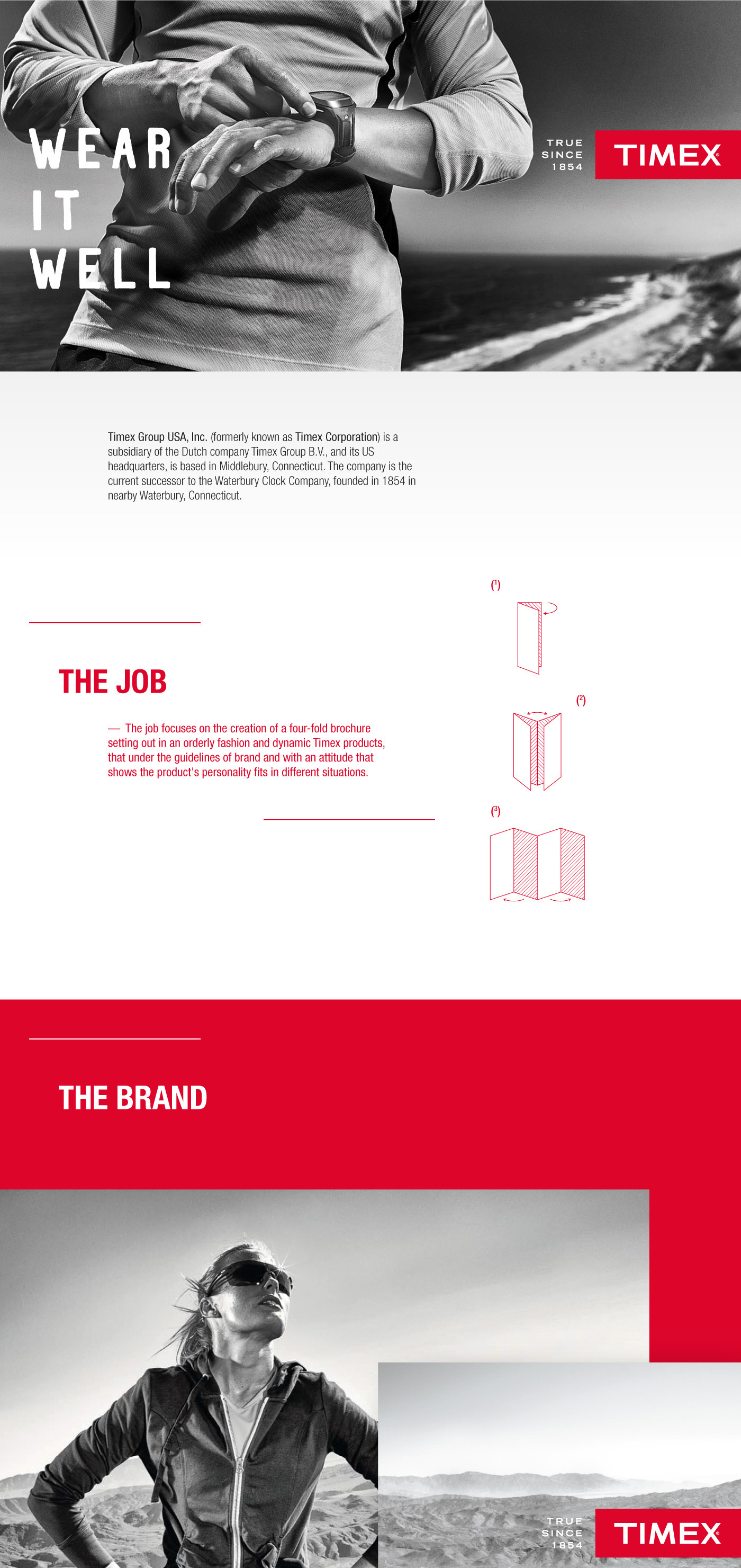 Timex brochure four-fold brand