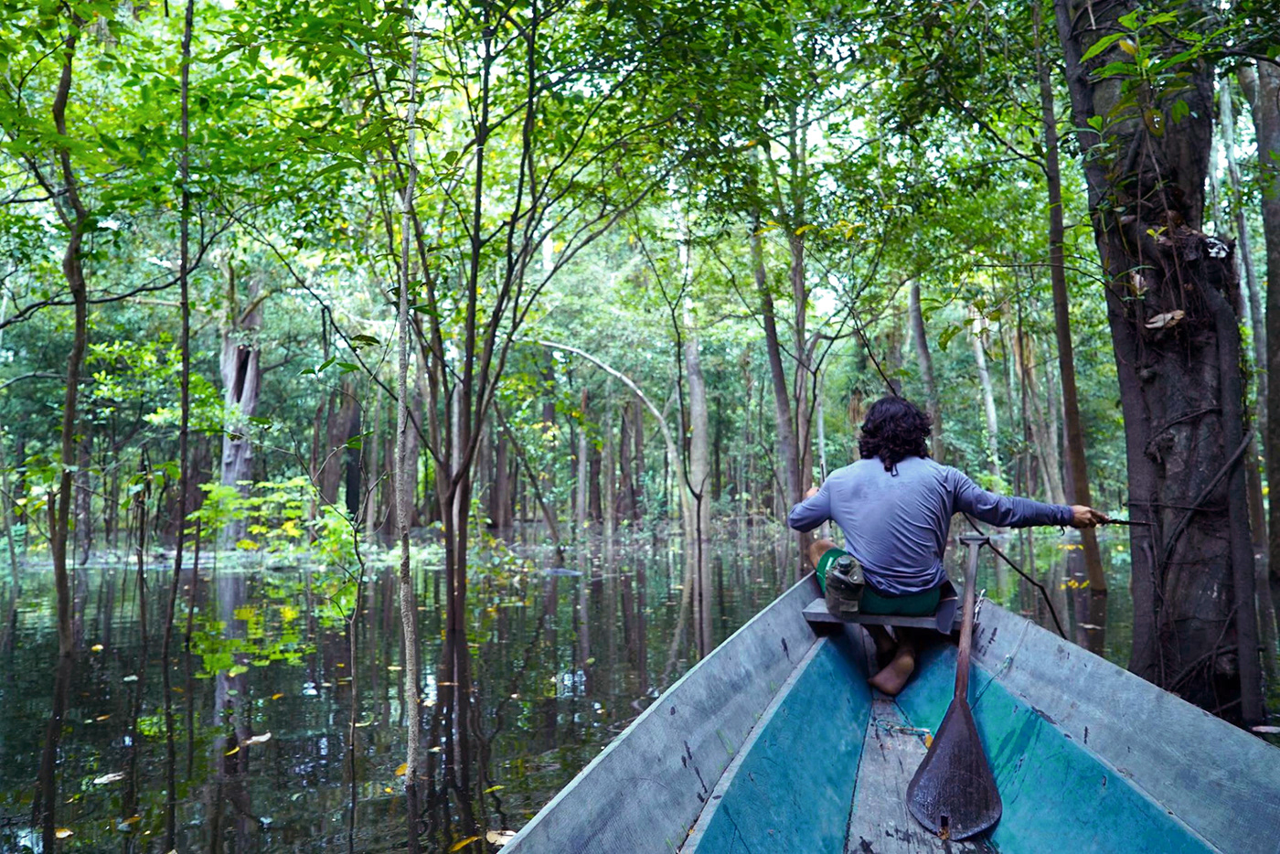 Amazon amazonia forest indigenous jungle Nature peru South America Travel wild