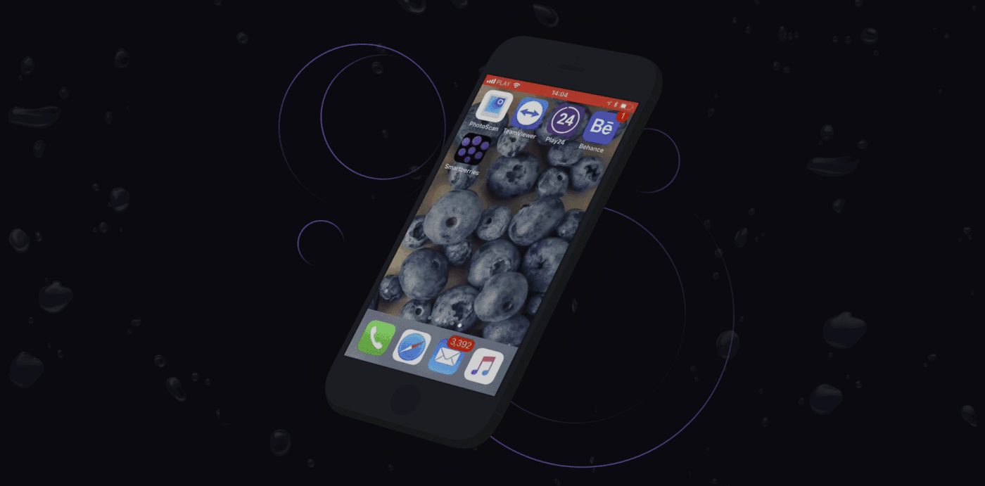 SmartBerries app aplication mobile android ios iphone Fruit
