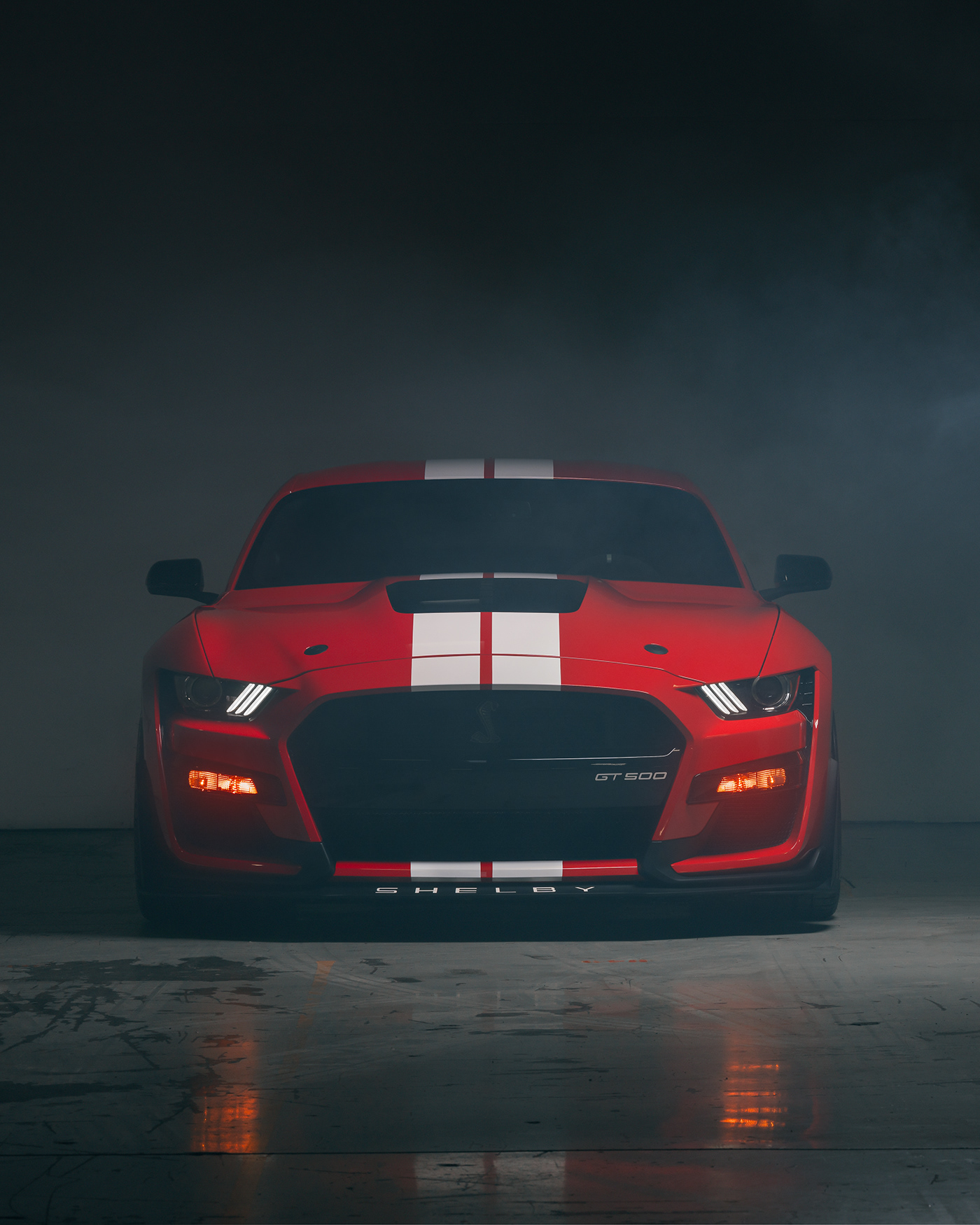 automotive   Automotive Photography car carphotography Ford GT500 Mustang Photography  photoshoot shelby