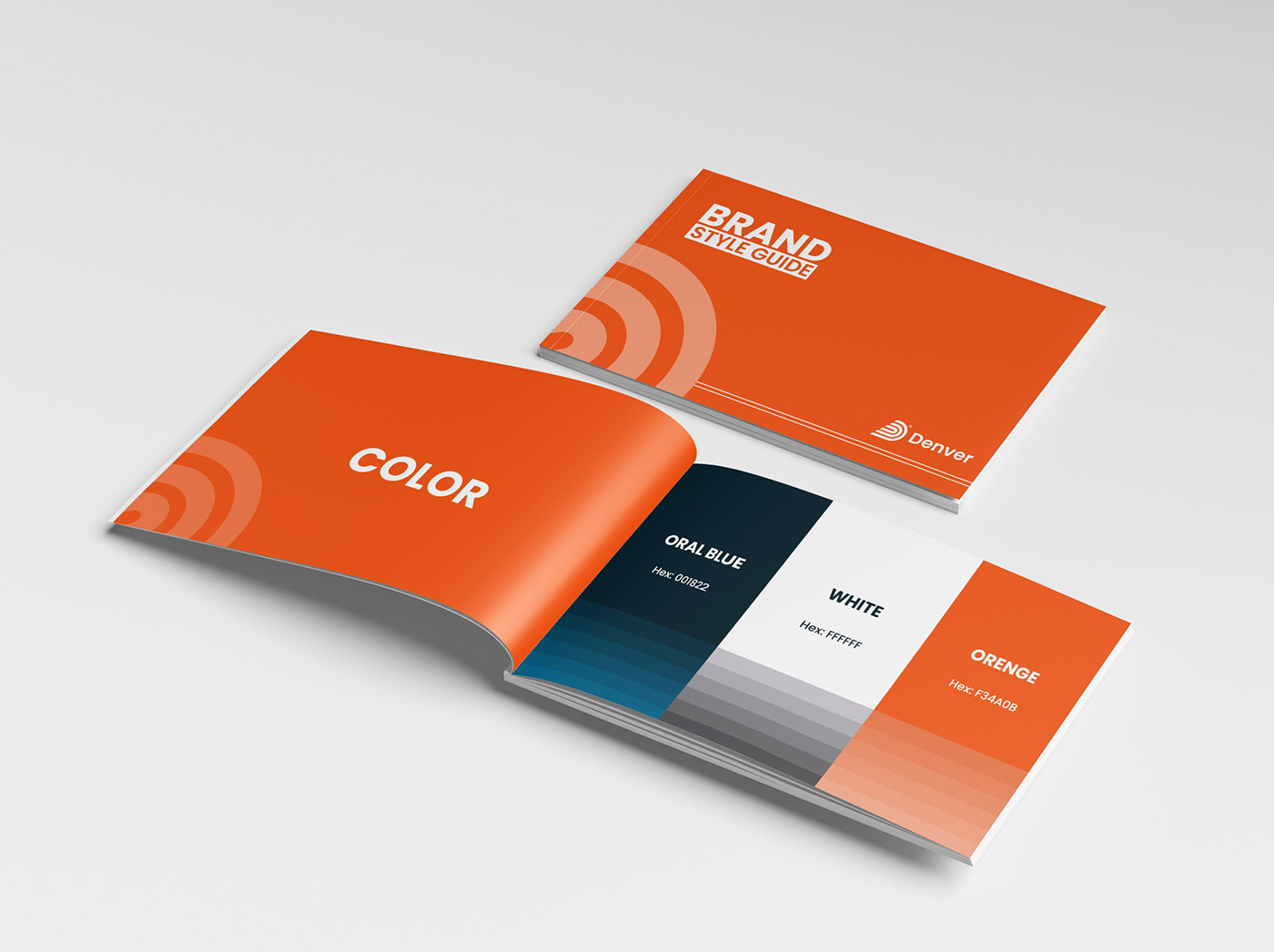 brand manual brand guidelines brand style guide brand book Style Guide