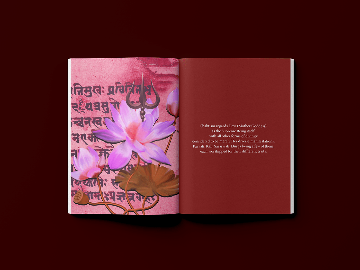 culture graphic design  Illustrator India menstruation Photography  photoshop publication design taboo Zine 