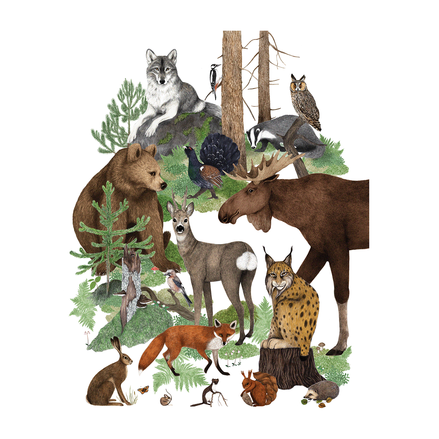 animals Drawing  forest ILLUSTRATION  Nature Pencil drawing poster print