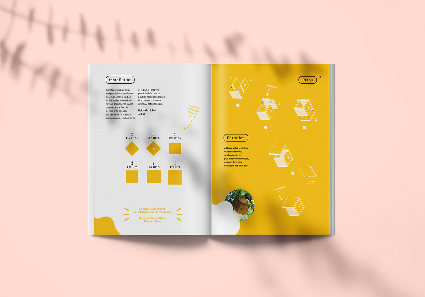 edition graphisme graphicdesign paper birds oiseaux livre book colors ILLUSTRATION 