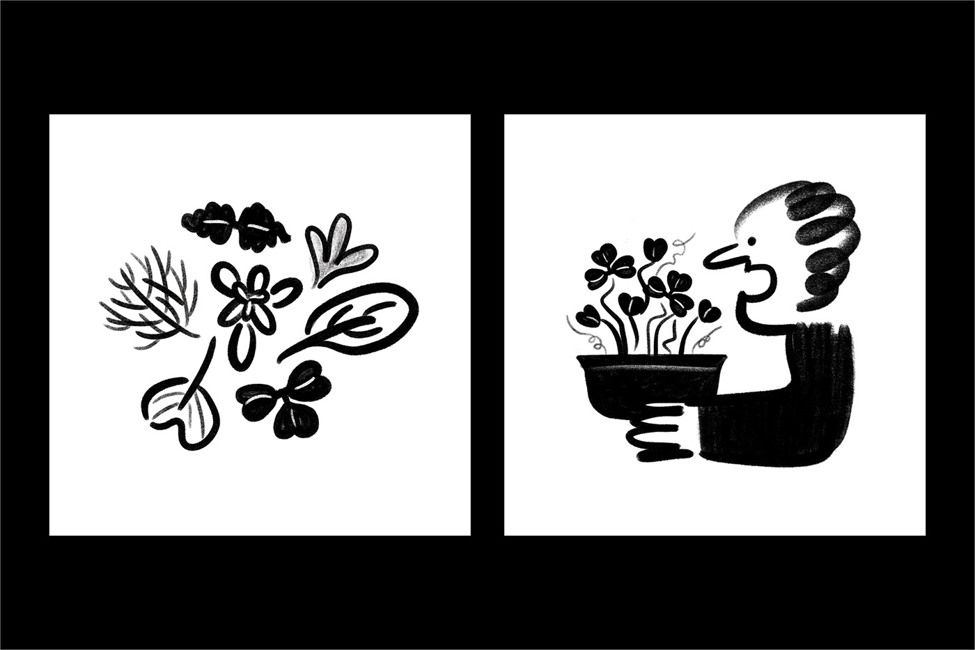 brand identity branding  farming Food  green ILLUSTRATION  Logo Design vertival farm visual identity