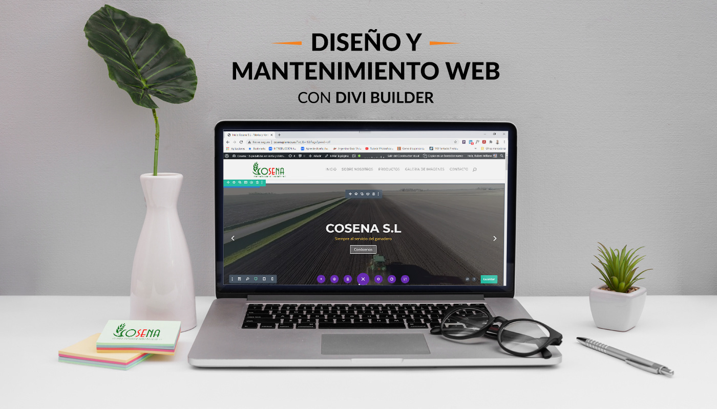 branding  Diseño web Webdesign webmaster