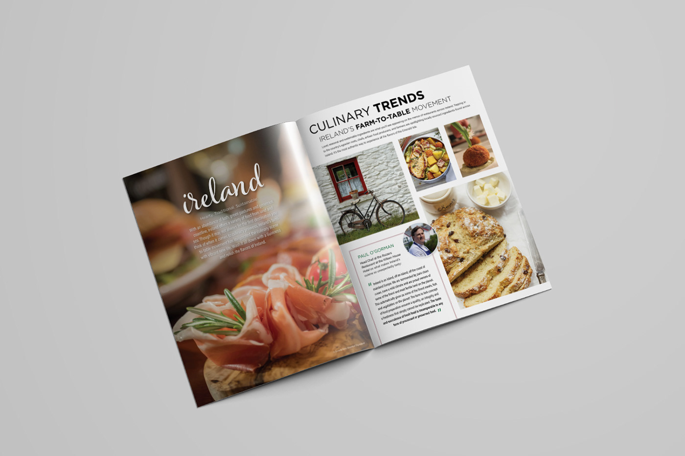 Food  wine editorial brochure Travel Layout Design Culinary