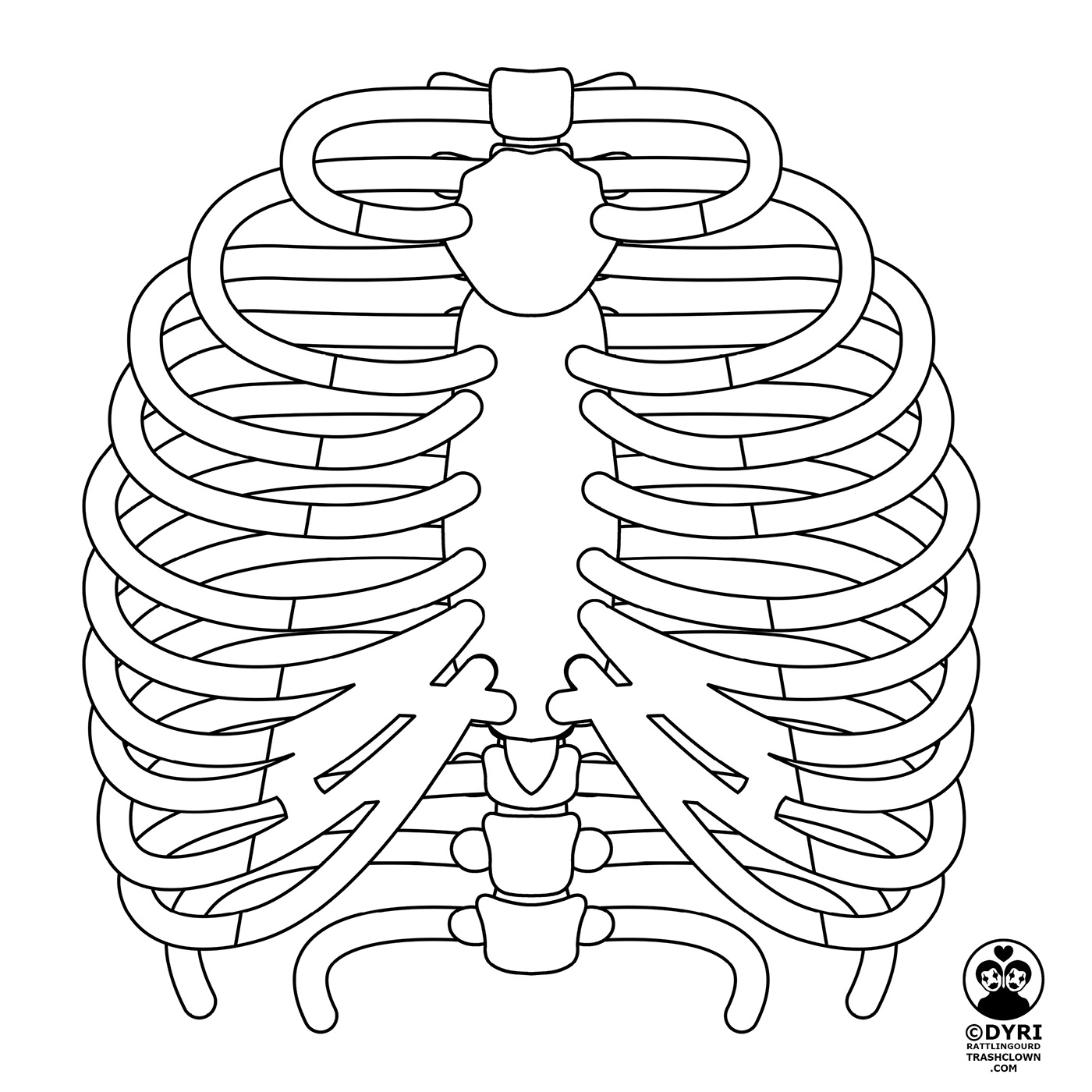 skeleton skeletons anatomy anatomical illustration sketch pen and ink tarot