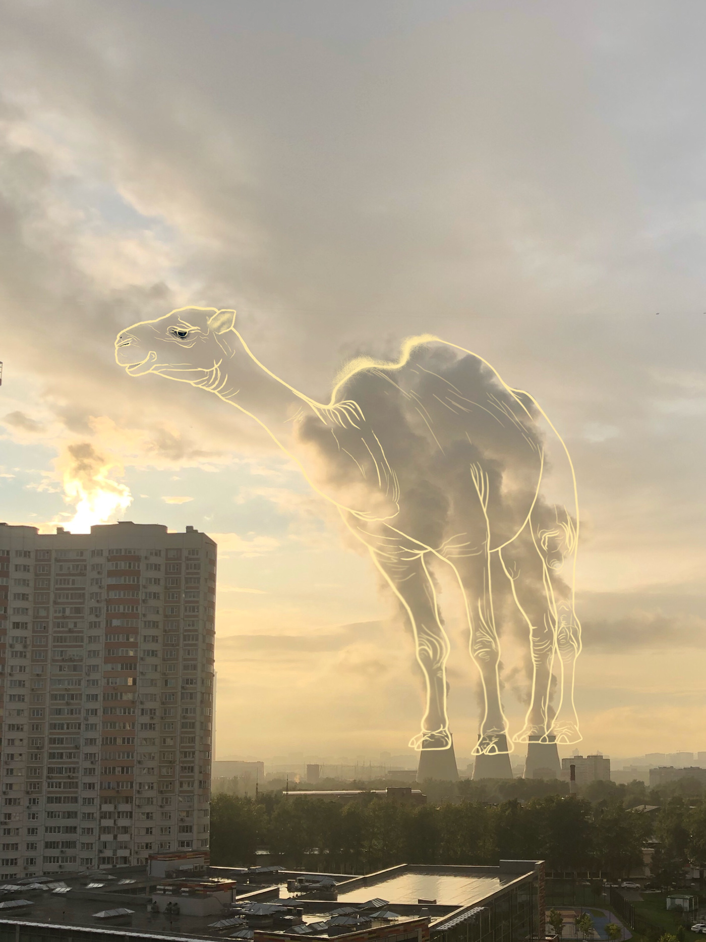 camel animal art ILLUSTRATION  fantasy clouds city industrial Digital Art  photoshop