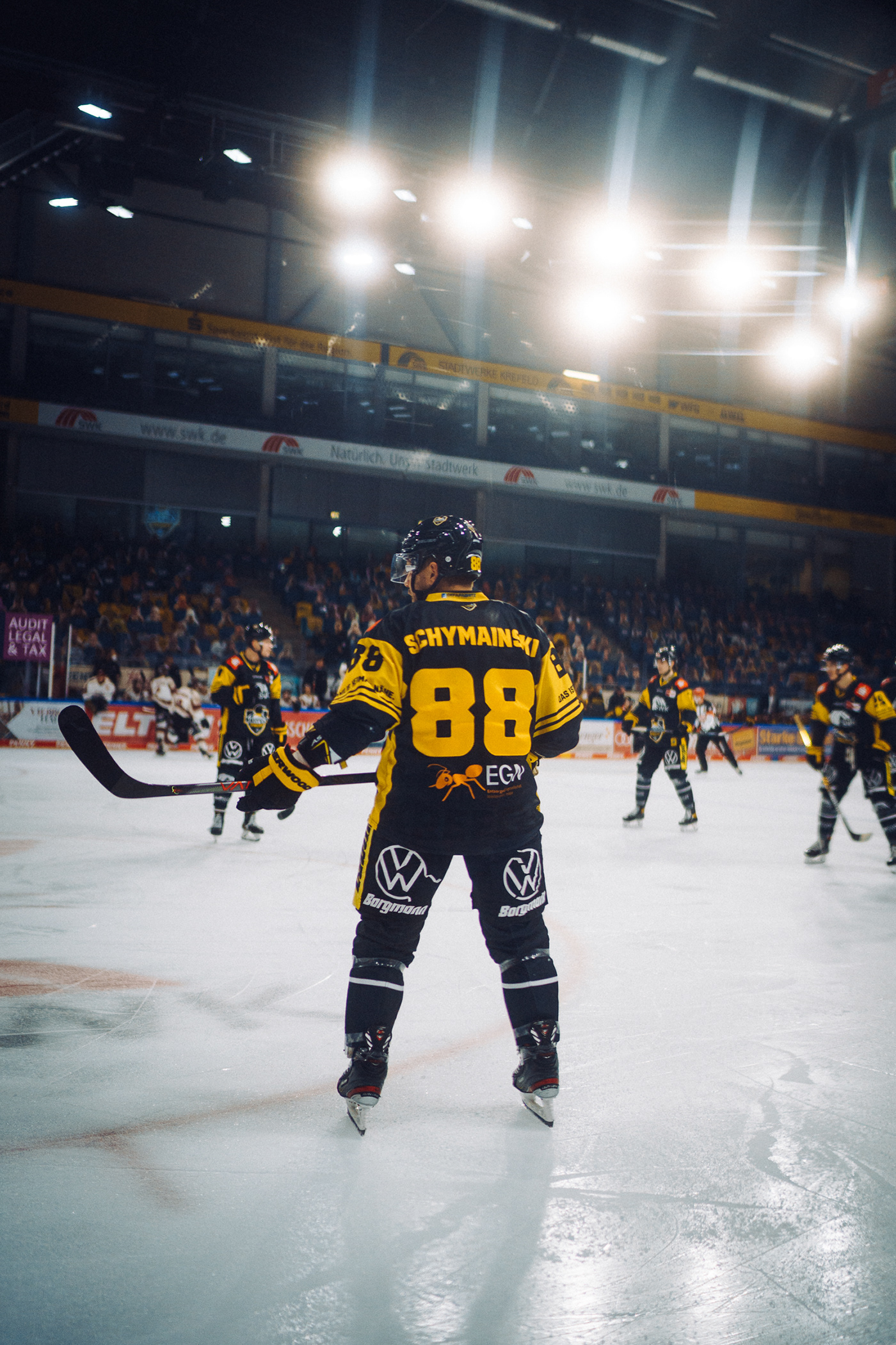 Eishockey Icehockey Kölner Haie krefeld pinguine reportage sport sportfotografie sportlerbegleitung sports Wintersport