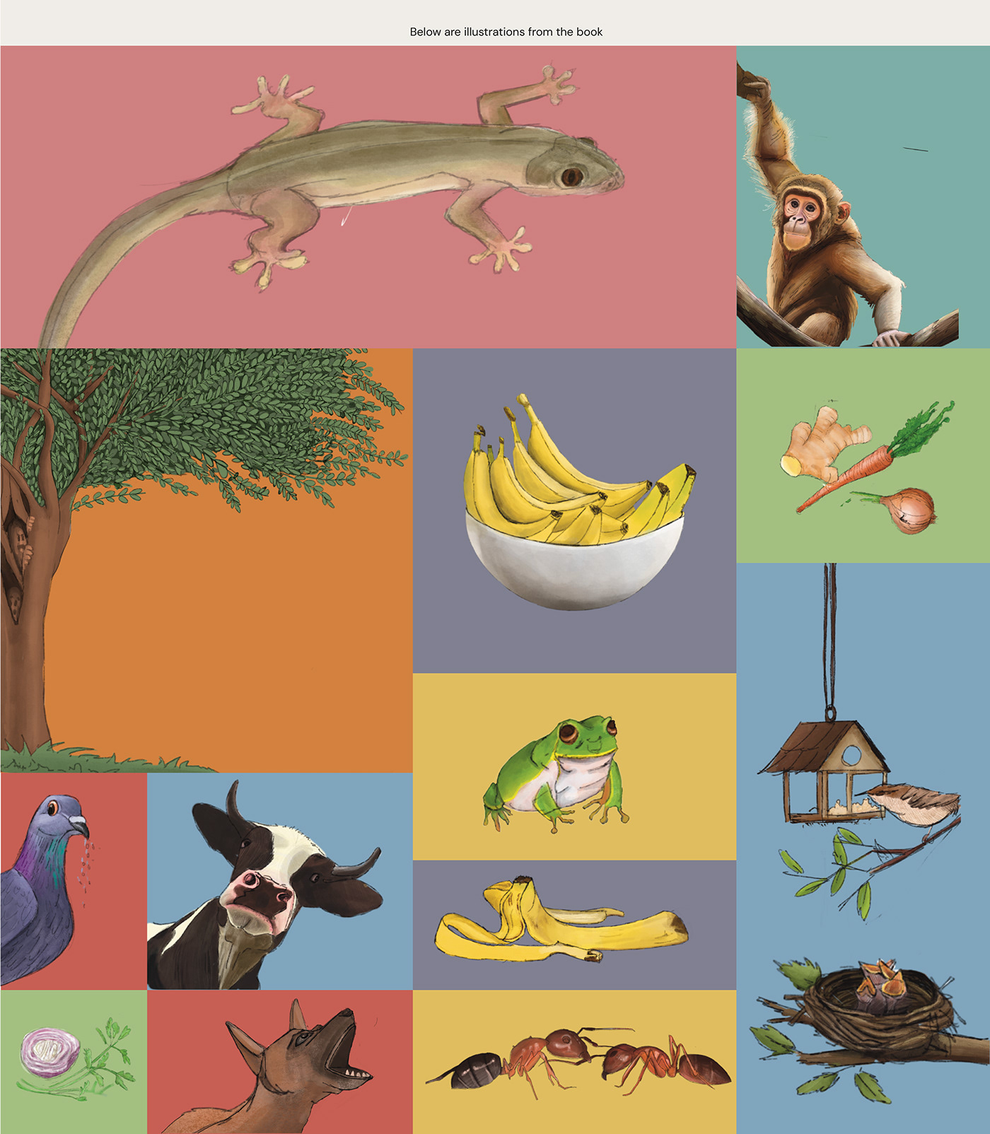 publication book design ILLUSTRATION  layoutdesign Illustrated book childrens book print design  Illustrative botanical illustration animalillustration