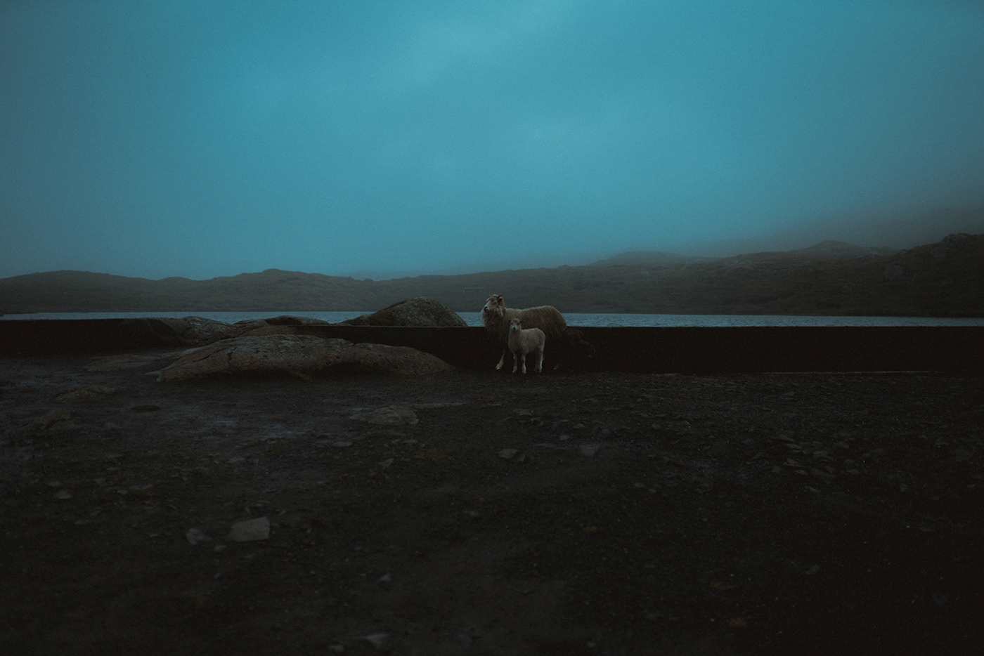 faroe islands fog sheep blue hour Nordic landscapes Ocean sea Landscape water Scandinavia