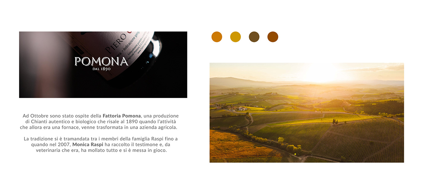 chianti Food  food photography harvest italia Landscape Tuscany vendemmia wine winery