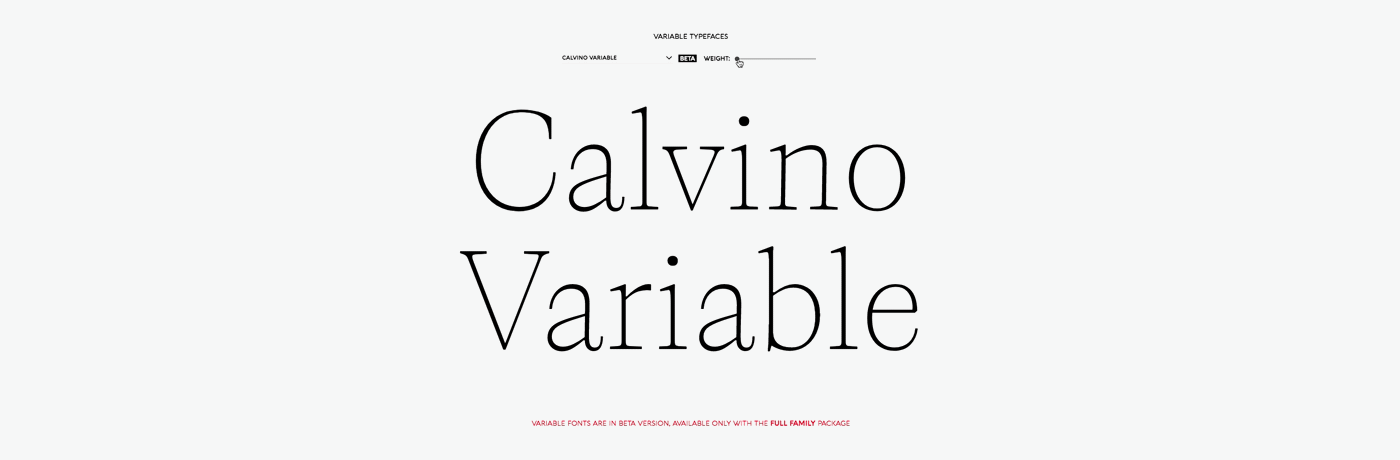 font serif branding  editorial type Typefamily type design Typeface typo typography  