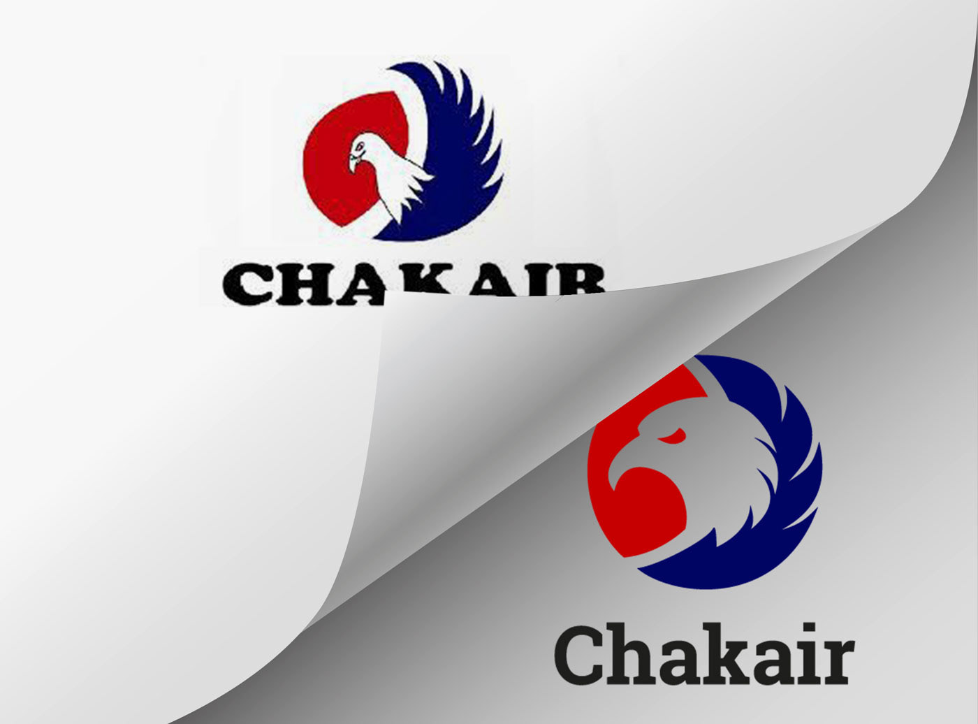 aviacion Illustrator logo rebranding
