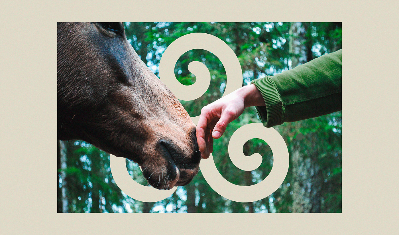 Photography of a hand caressing the mouth of a horse in a forest with a Celtic triskele symbol. 