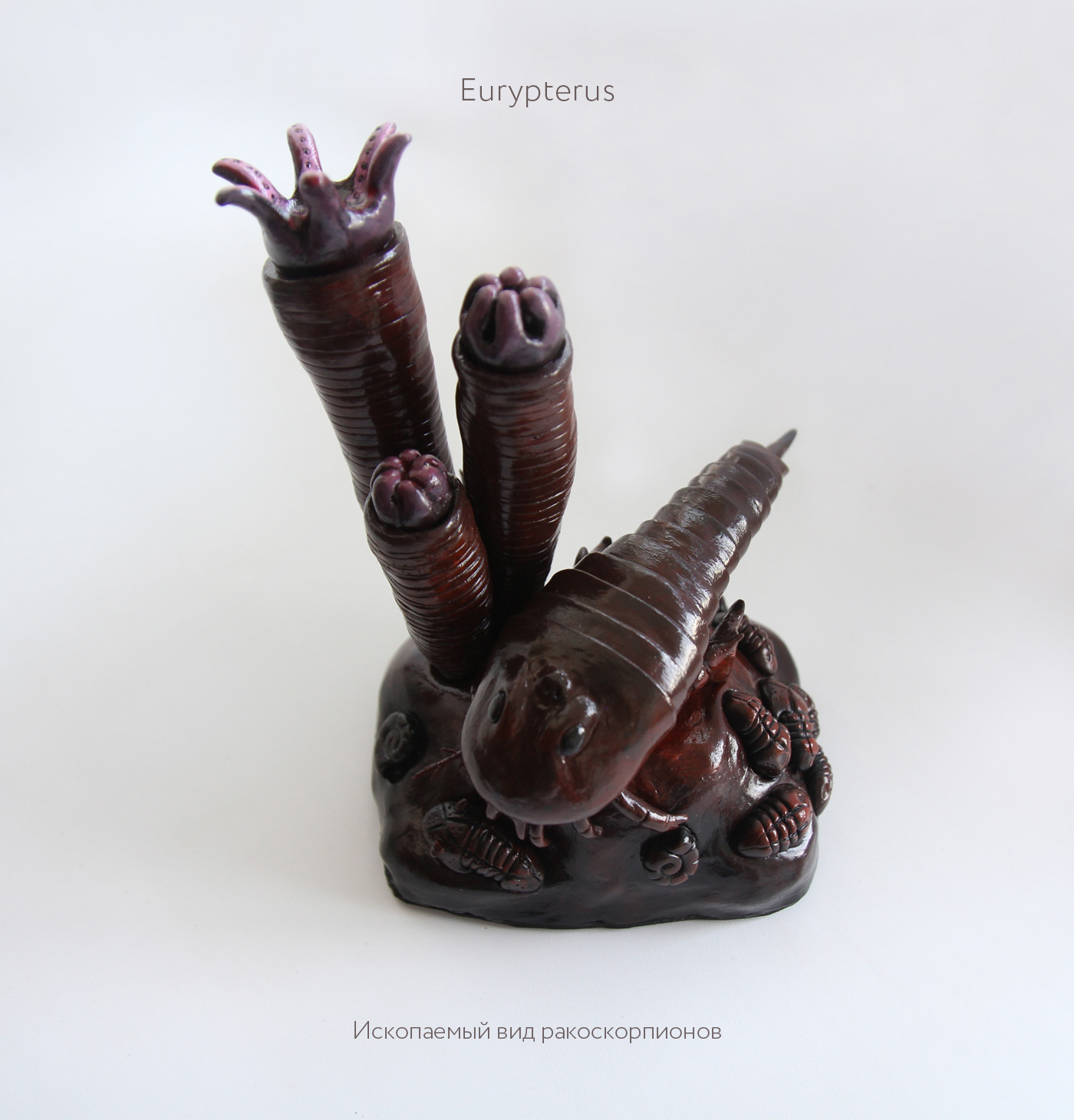 clay sculpture Diorama foto trilobite