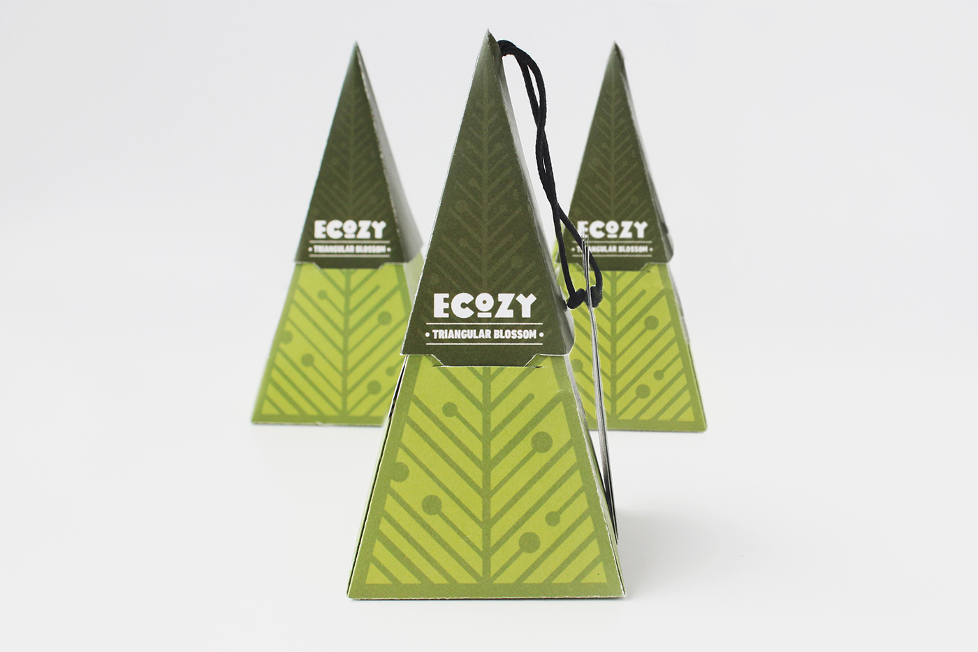 ECOzy package Lightbulb eco Ecobulb eco packaging green triangular pakaging triangular bloom inovative package minimise consumer waste Tree  reuse package Innovative