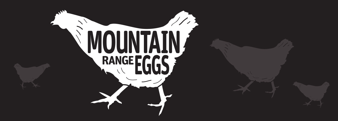 eggs eggs packaging free range Illustrative Fun hard drawn