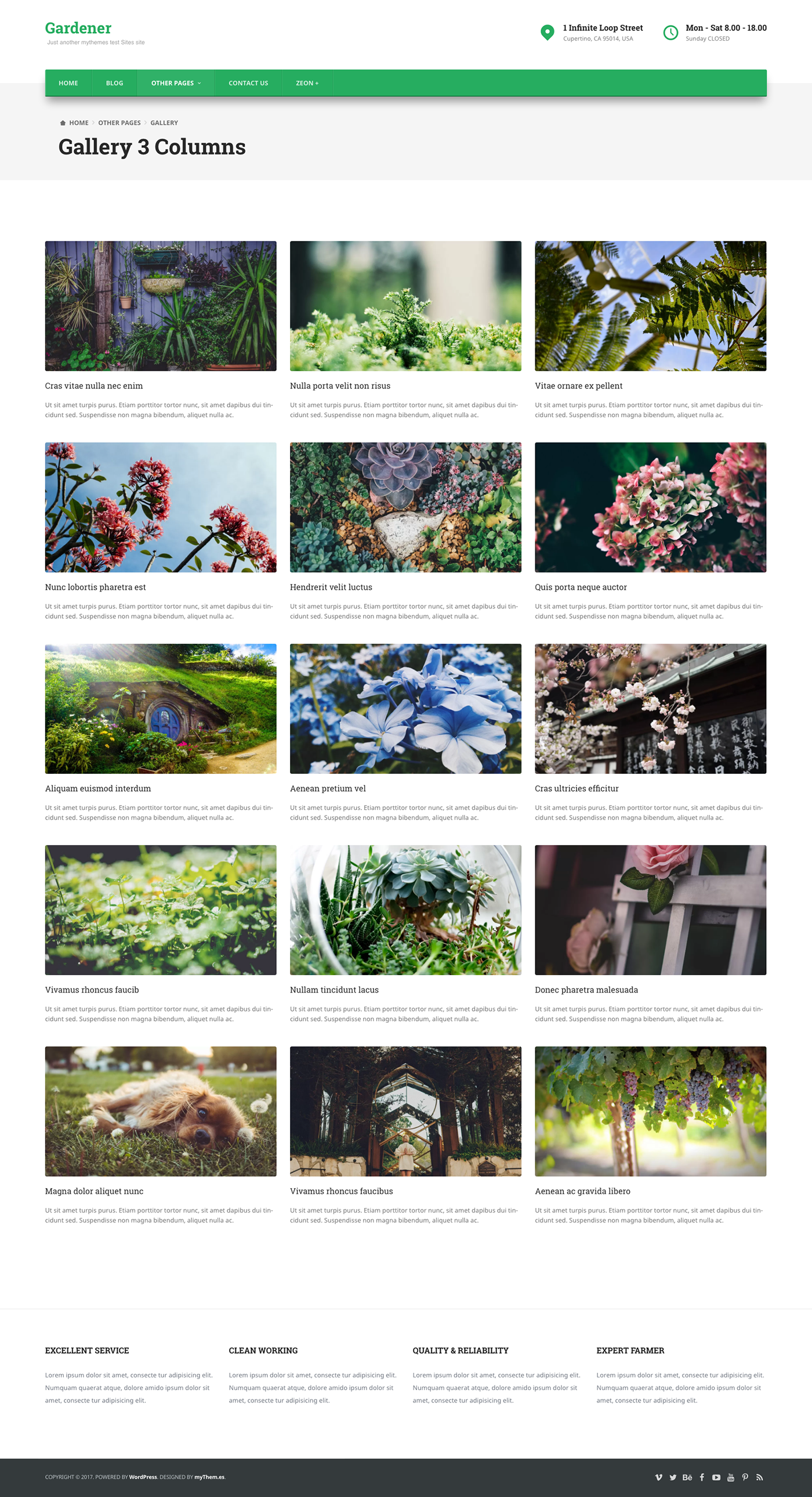 Small Business tempo child theme gardener wordpress template