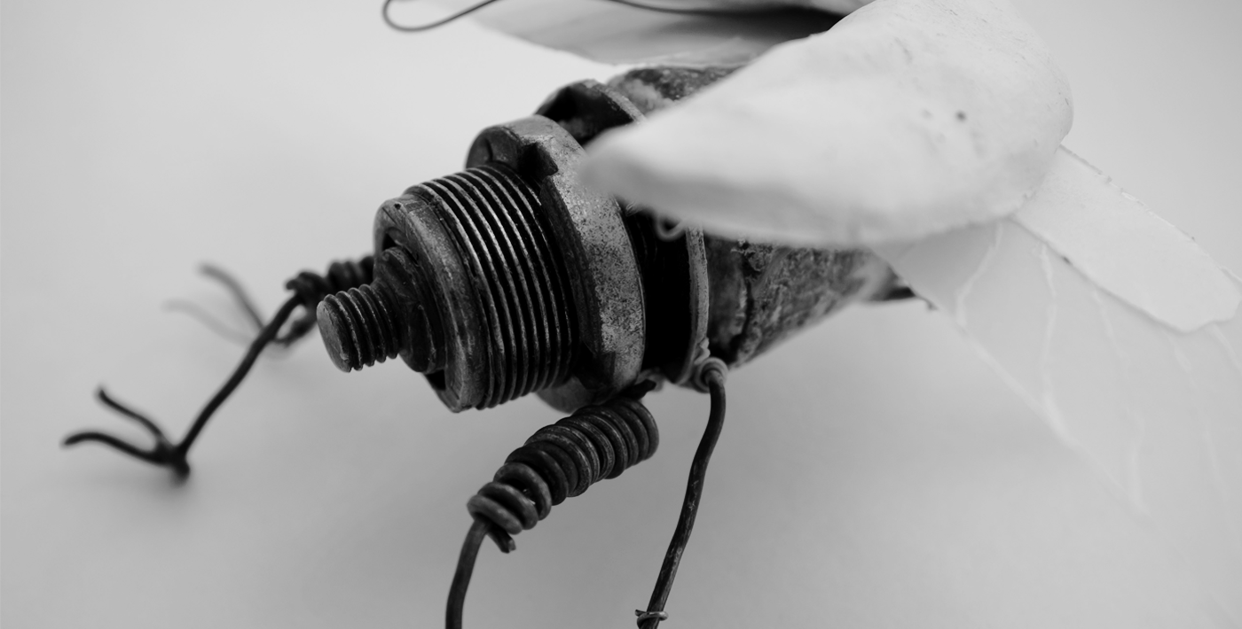 poster handmade handcraft wire beetle scrap DIY Brazil brasilian music