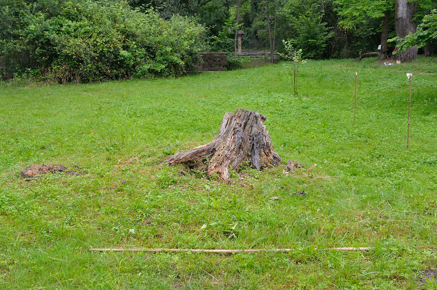 grass installation land art Nature sculpture site specific wood