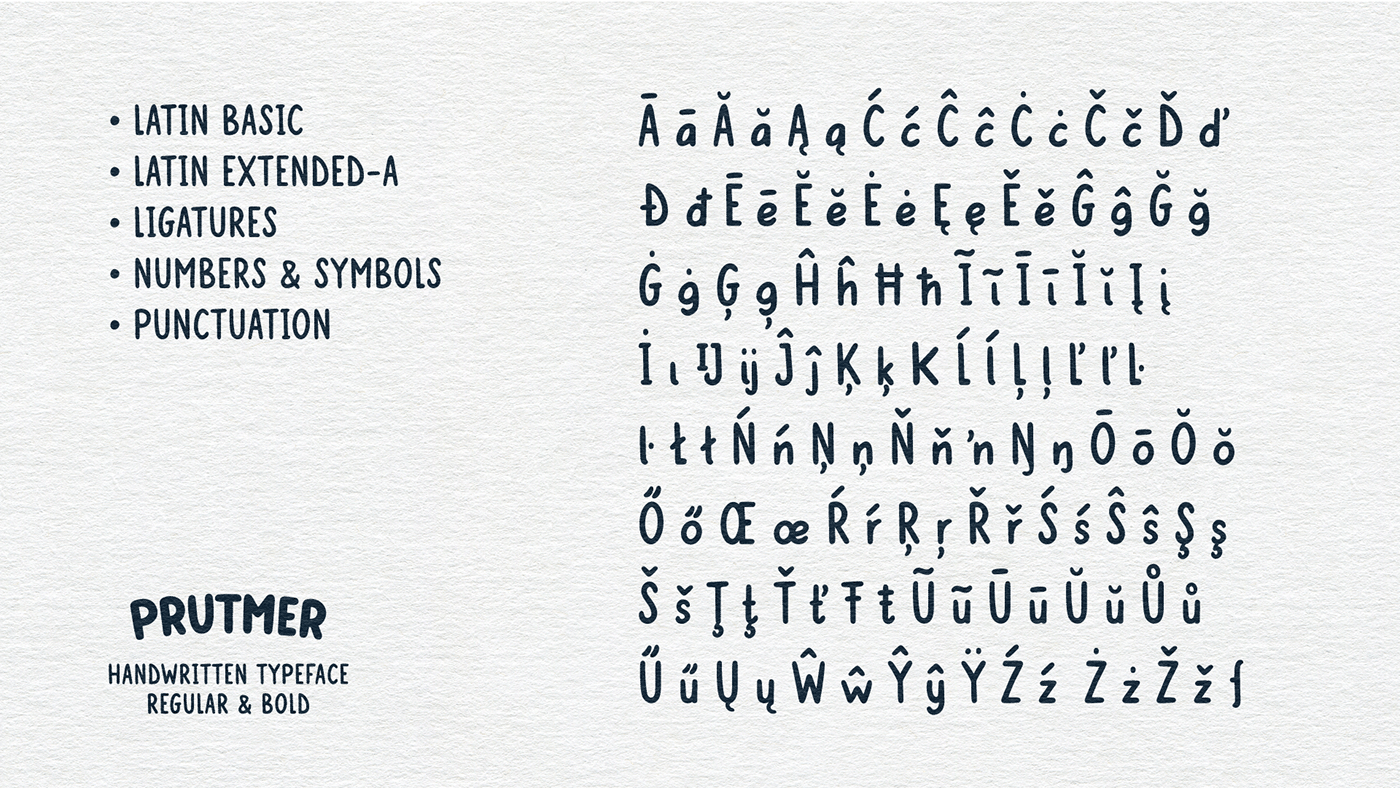 font handwritten type Typeface typography  