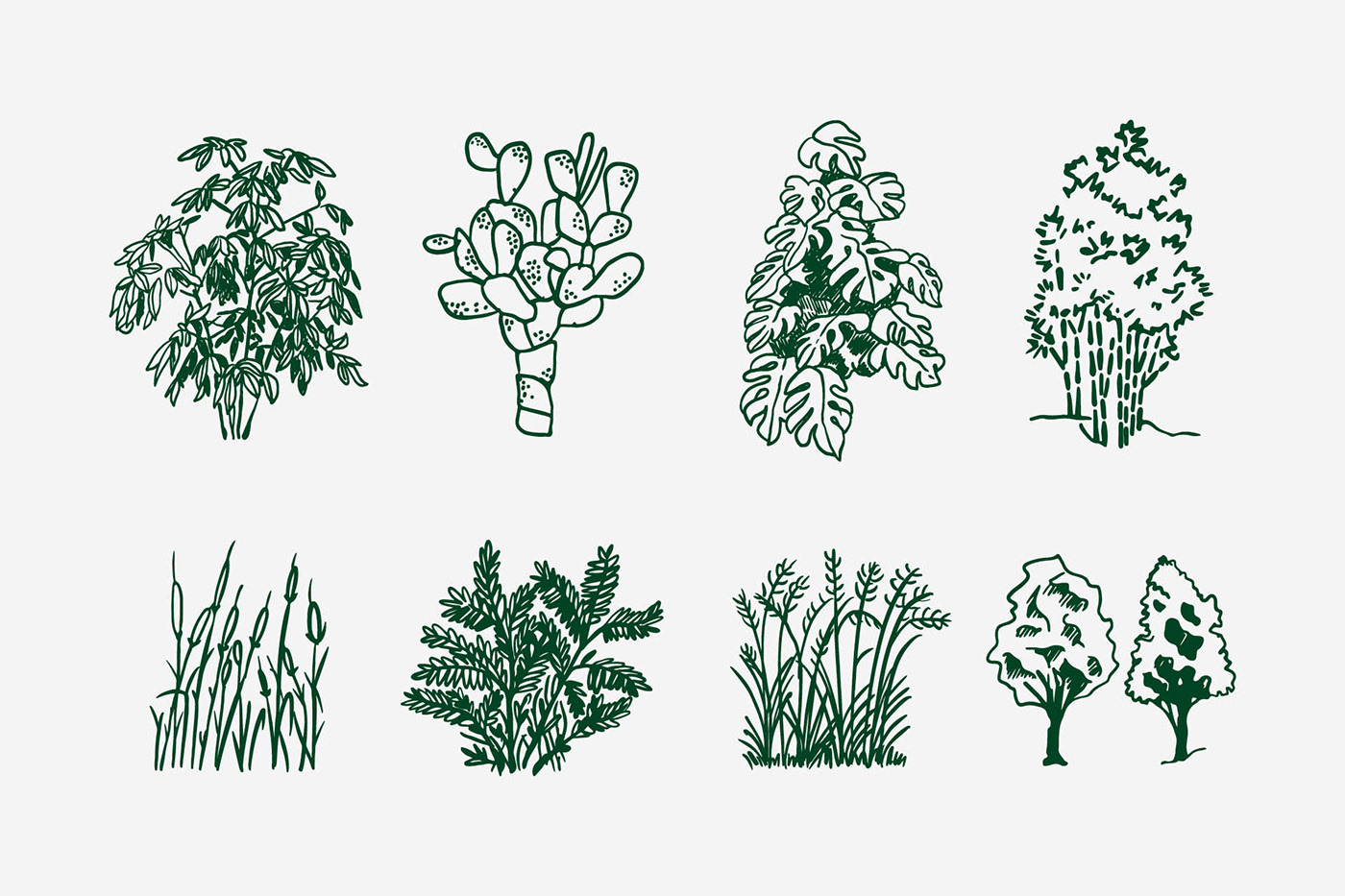 branding  gardening Landscape architecture graphic design  design ILLUSTRATION  plants botanical identity