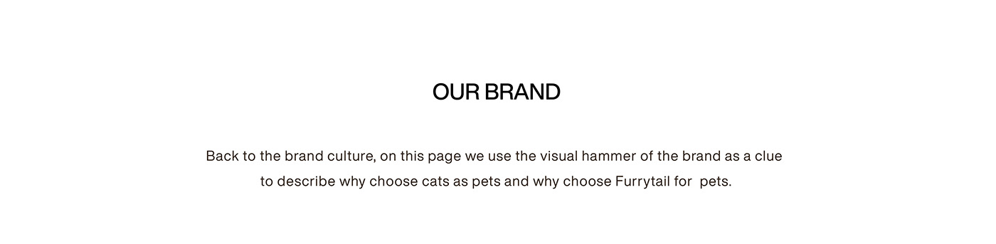 brand branding  Ecommerce Figma Pet typography   UI/UX visual identity Web Design  Website