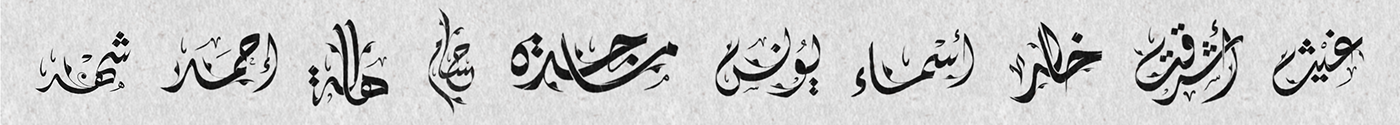 arabic arabic calligraphy diwani handwritten names Calligraphy   typography   lettering type